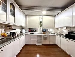 Orchid Village (D11), Semi-Detached #522301241